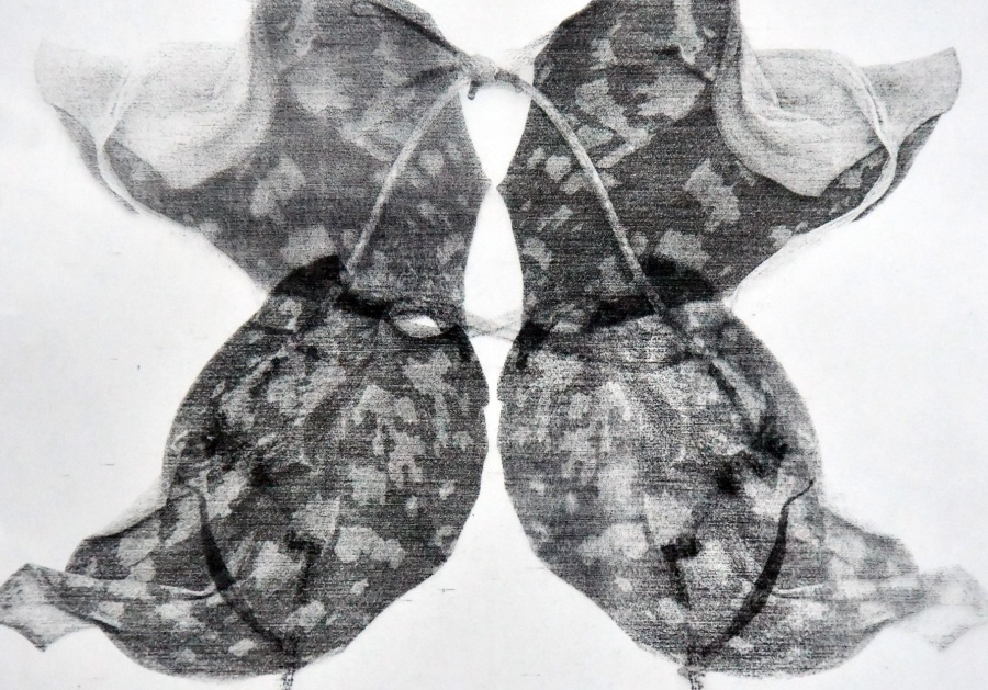 plebodium aureum scan
