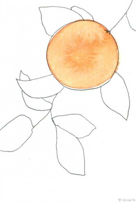 wenskaart orange